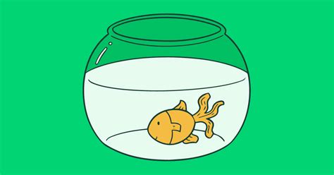 How To Implement the Fishbowl Method .